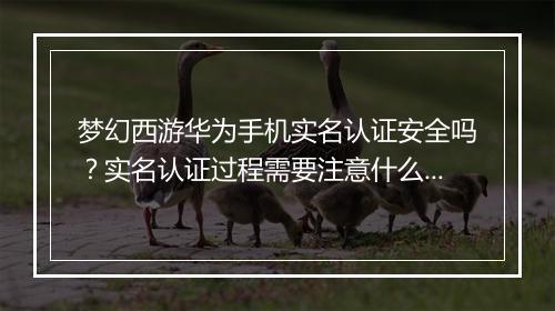 梦幻西游华为手机实名认证安全吗？实名认证过程需要注意什么？