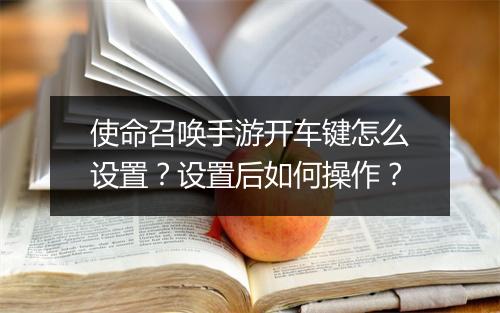 使命召唤手游开车键怎么设置？设置后如何操作？