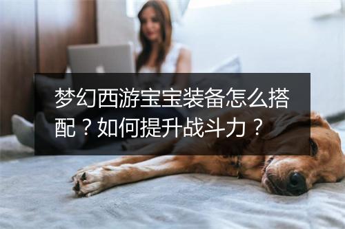 梦幻西游宝宝装备怎么搭配？如何提升战斗力？