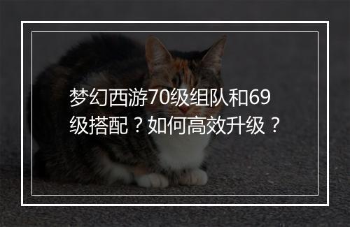 梦幻西游70级组队和69级搭配？如何高效升级？