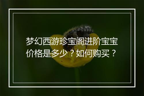 梦幻西游珍宝阁进阶宝宝价格是多少？如何购买？
