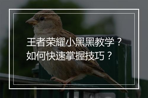 王者荣耀小黑黑教学？如何快速掌握技巧？