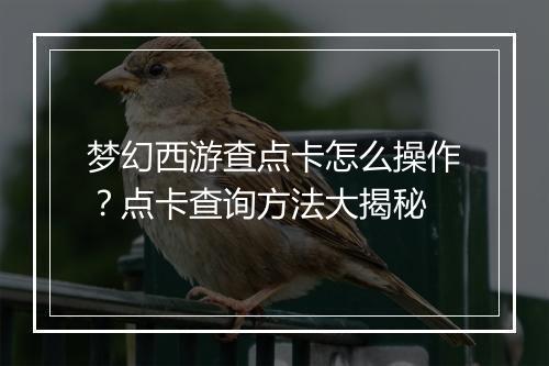 梦幻西游查点卡怎么操作？点卡查询方法大揭秘