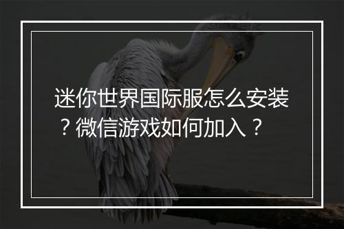迷你世界国际服怎么安装？微信游戏如何加入？