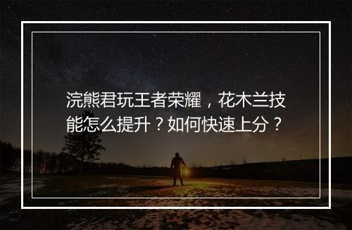 浣熊君玩王者荣耀，花木兰技能怎么提升？如何快速上分？