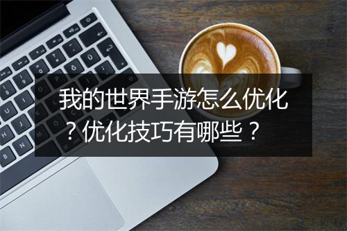 我的世界手游怎么优化？优化技巧有哪些？