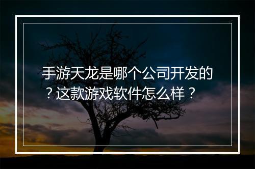 手游天龙是哪个公司开发的？这款游戏软件怎么样？