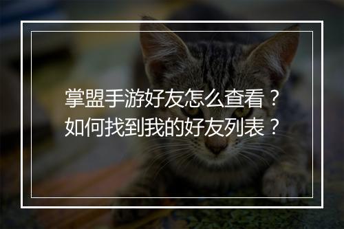 掌盟手游好友怎么查看？如何找到我的好友列表？