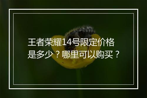 王者荣耀14号限定价格是多少？哪里可以购买？