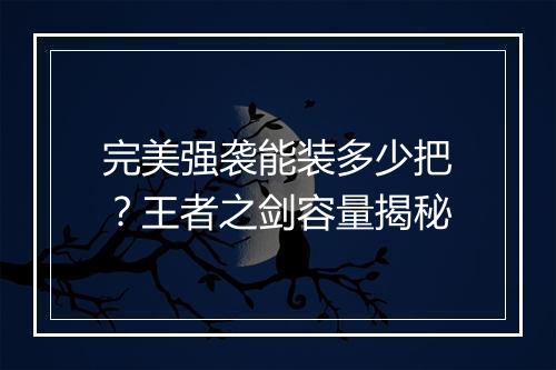 完美强袭能装多少把？王者之剑容量揭秘