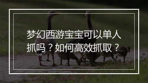 梦幻西游宝宝可以单人抓吗？如何高效抓取？