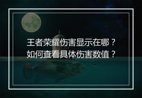 王者荣耀伤害显示在哪？如何查看具体伤害数值？