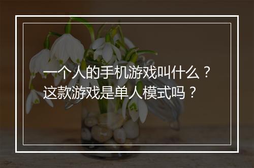 一个人的手机游戏叫什么?这款游戏是单人模式吗?