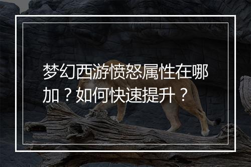 梦幻西游愤怒属性在哪加？如何快速提升？