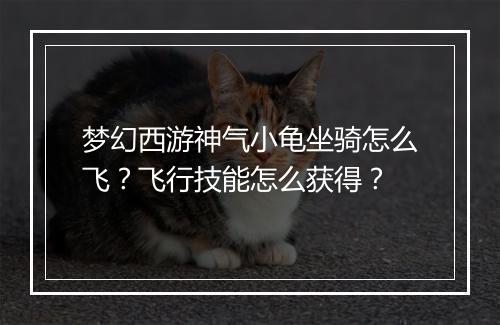 梦幻西游神气小龟坐骑怎么飞？飞行技能怎么获得？
