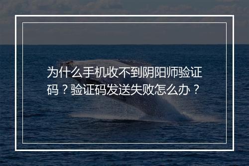 为什么手机收不到阴阳师验证码？验证码发送失败怎么办？