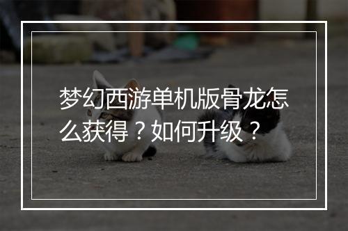 梦幻西游单机版骨龙怎么获得？如何升级？