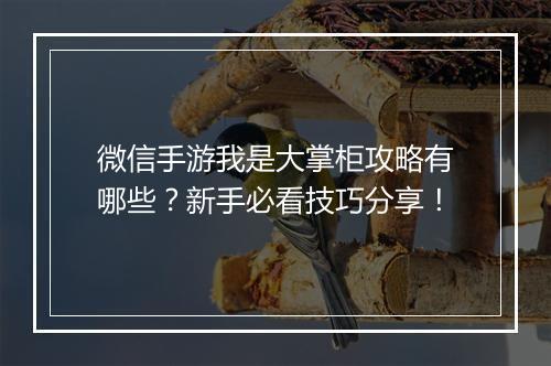 微信手游我是大掌柜攻略有哪些?新手必看技巧分享!
