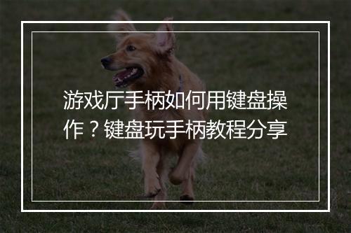 游戏厅手柄如何用键盘操作？键盘玩手柄教程分享