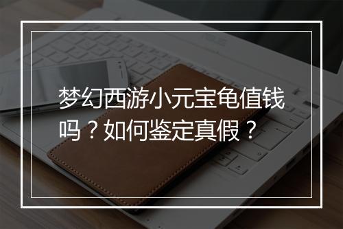 梦幻西游小元宝龟值钱吗？如何鉴定真假？