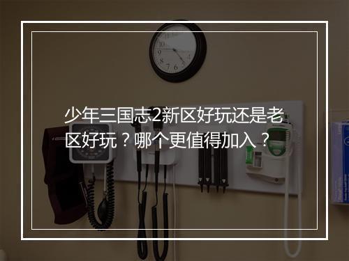 少年三国志2新区好玩还是老区好玩？哪个更值得加入？