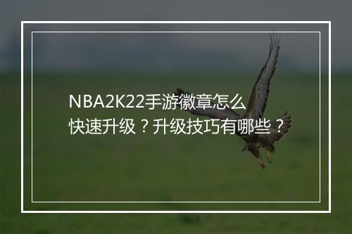 NBA2K22手游徽章怎么快速升级?升级技巧有哪些?