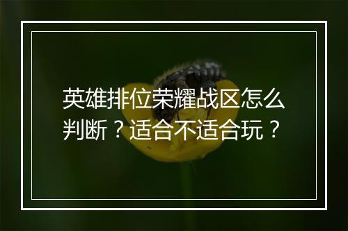英雄排位荣耀战区怎么判断?适合不适合玩?