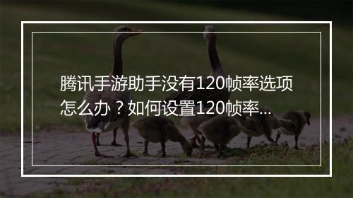腾讯手游助手没有120帧率选项怎么办？如何设置120帧率？