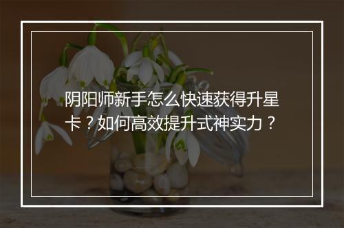 阴阳师新手怎么快速获得升星卡?如何高效提升式神实力?