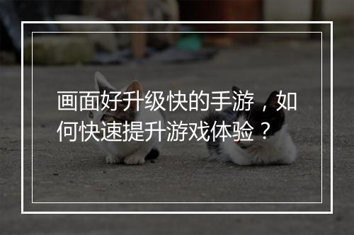 画面好升级快的手游,如何快速提升游戏体验?
