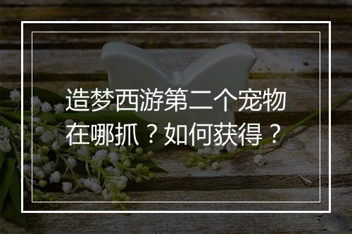 造梦西游第二个宠物在哪抓?如何获得?