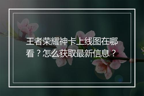 王者荣耀神卡上线图在哪看?怎么获取最新信息?
