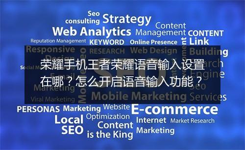 荣耀手机王者荣耀语音输入设置在哪?怎么开启语音输入功能?