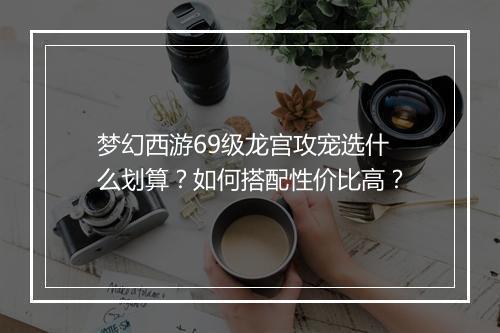 梦幻西游69级龙宫攻宠选什么划算?如何搭配性价比高?