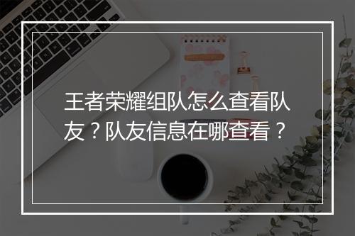 王者荣耀组队怎么查看队友?队友信息在哪查看?