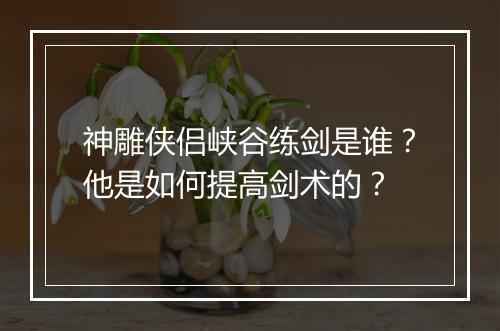 神雕侠侣峡谷练剑是谁?他是如何提高剑术的?