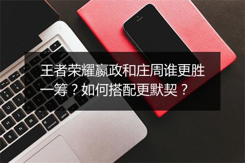 王者荣耀嬴政和庄周谁更胜一筹？如何搭配更默契？