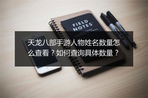 天龙八部手游人物姓名数量怎么查看?如何查询具体数量?
