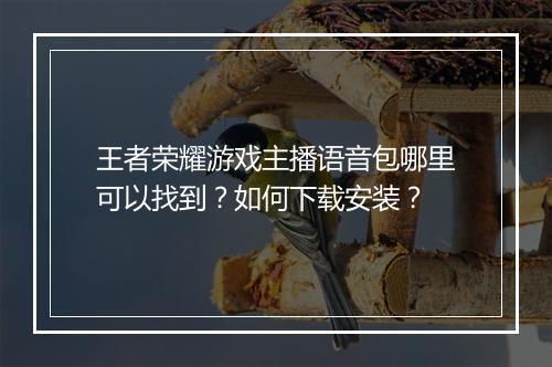 王者荣耀游戏主播语音包哪里可以找到?如何下载安装?