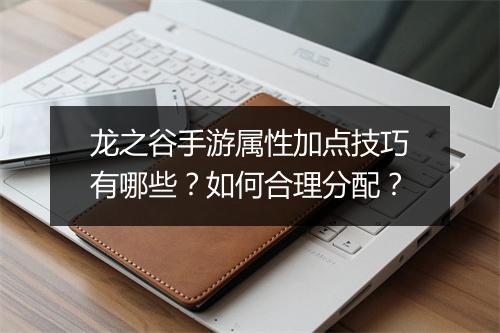 龙之谷手游属性加点技巧有哪些？如何合理分配？