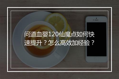 问道血婴120仙魔点如何快速提升?怎么高效加经验?