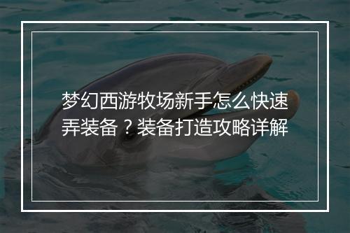 梦幻西游牧场新手怎么快速弄装备?装备打造攻略详解