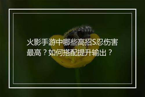 火影手游中哪些高招S忍伤害最高?如何搭配提升输出?