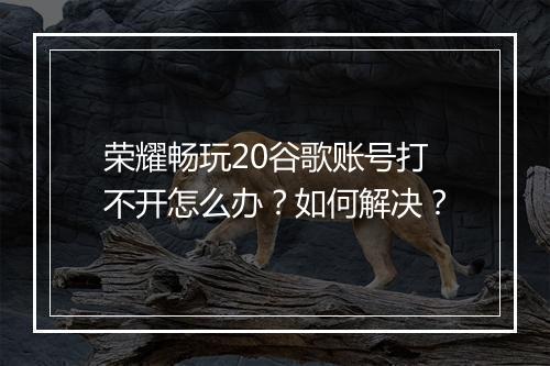荣耀畅玩20谷歌账号打不开怎么办？如何解决？