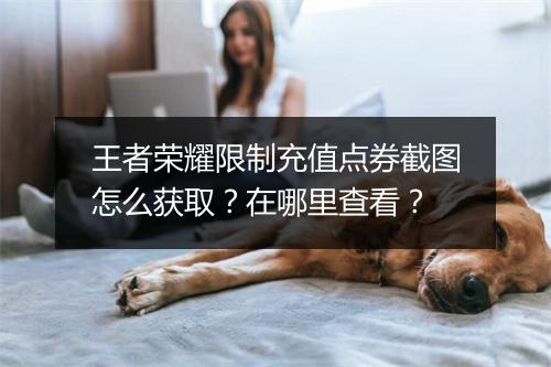 王者荣耀限制充值点券截图怎么获取?在哪里查看?