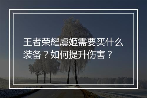 王者荣耀虞姬需要买什么装备?如何提升伤害?