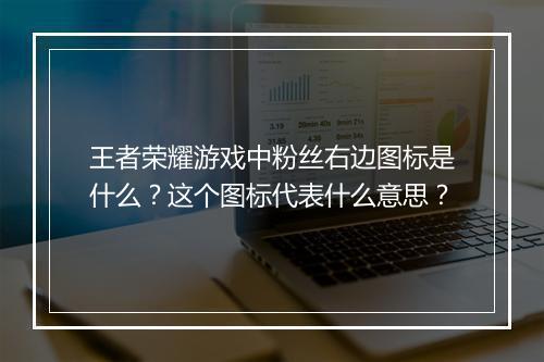 王者荣耀游戏中粉丝右边图标是什么?这个图标代表什么意思?