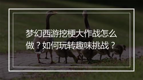 梦幻西游挖梗大作战怎么做?如何玩转趣味挑战?