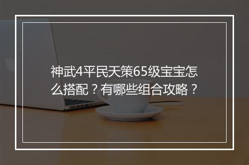 神武4平民天策65级宝宝怎么搭配？有哪些组合攻略？