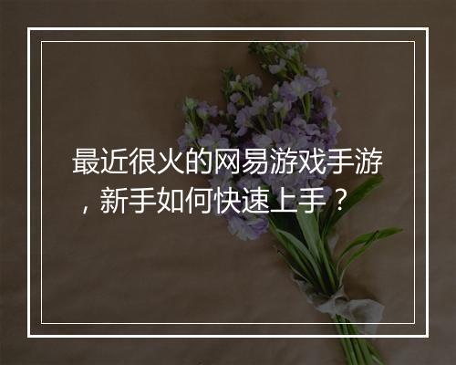 最近很火的网易游戏手游,新手如何快速上手?